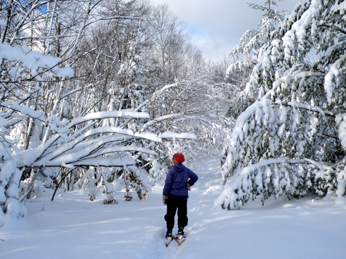 Traditional Versus Modern Weighing In On The Snowshoe Debate Silent Sports